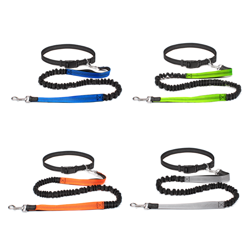Hand Free Dog Leash for Pet Wa - Running Jogging Gear review and price